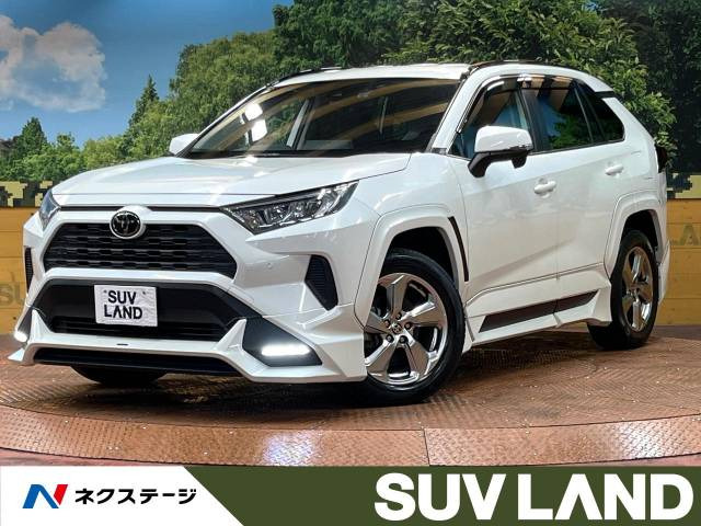 RAV4 2.0 X 