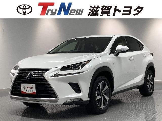 NX 300h Iパッケージ 