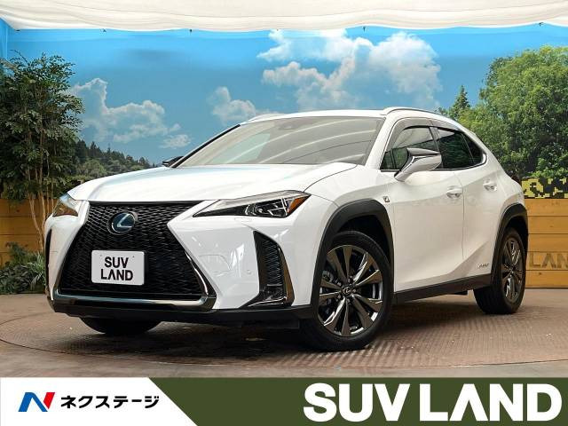 UX 250h Fスポーツ 