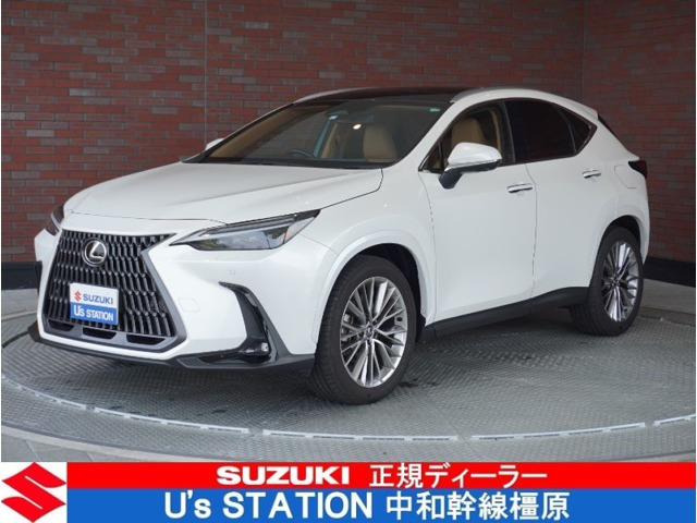 NX 250 バージョンL NX 250 バージョンL