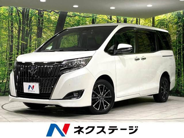 エスクァイア 2.0 Gi プレミアムパッケージ ブラックテイラード 