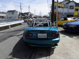 凛々しいいバックスタイル。