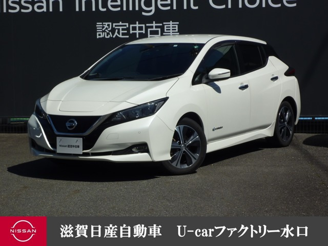 リーフ X 
