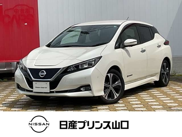 リーフ G 