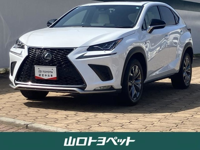 NX 300 Fスポーツ 