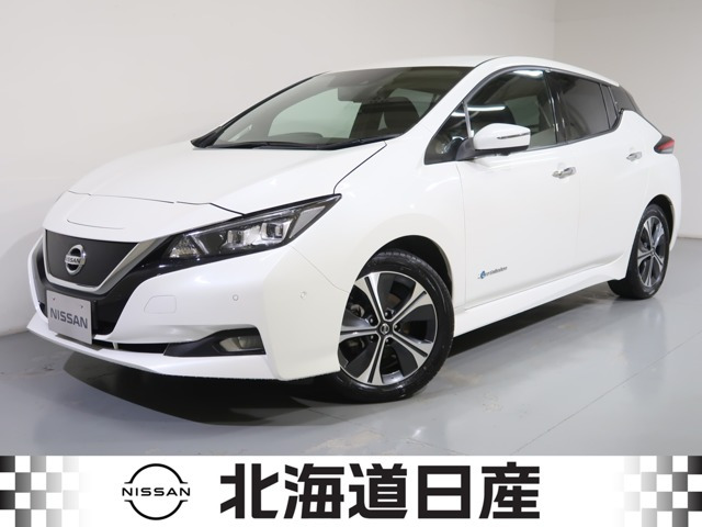 リーフ G 