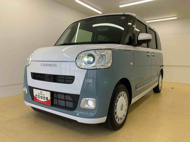 ムーヴキャンバス  ストライプス G