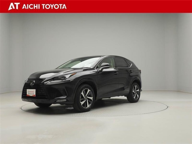 NX 300 ブラック シークエンス 4WD 