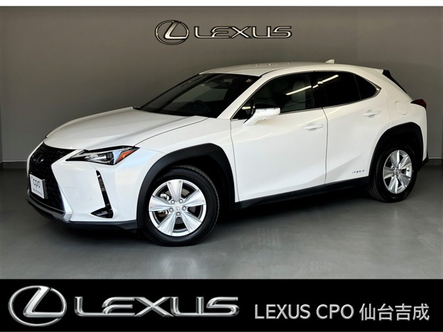 UX 250h バージョンC 