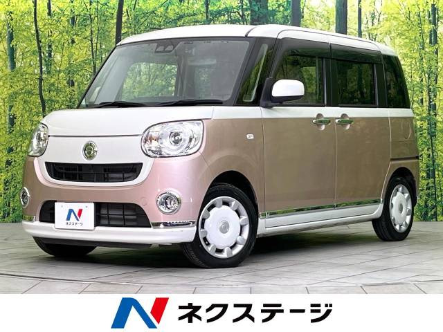 ムーヴキャンバス G メイクアップ SAIII 
