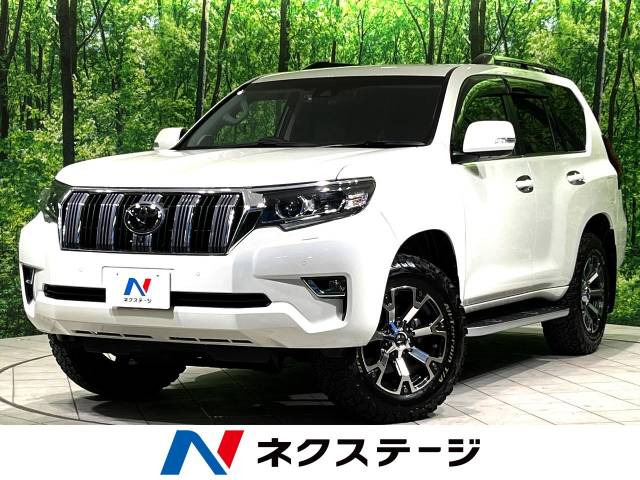ランドクルーザープラド  TZ-G