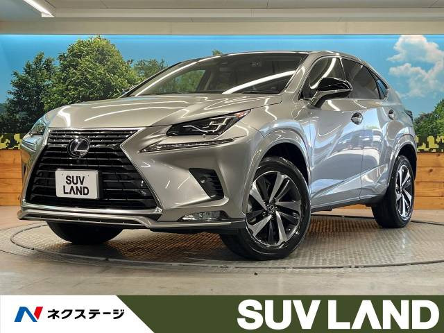 NX 300h スパイス&シック 