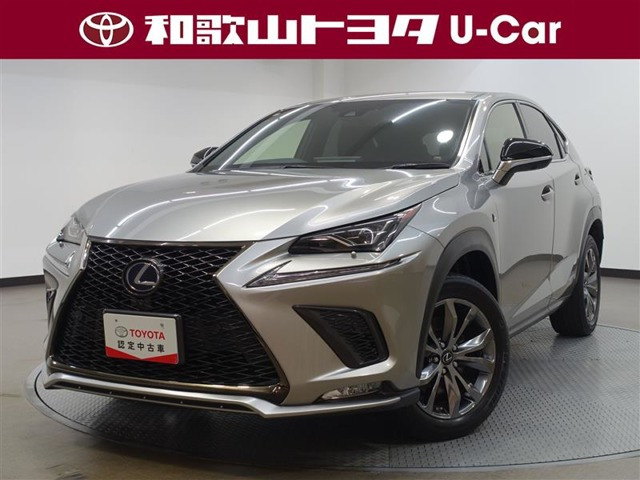 NX 300h Fスポーツ 