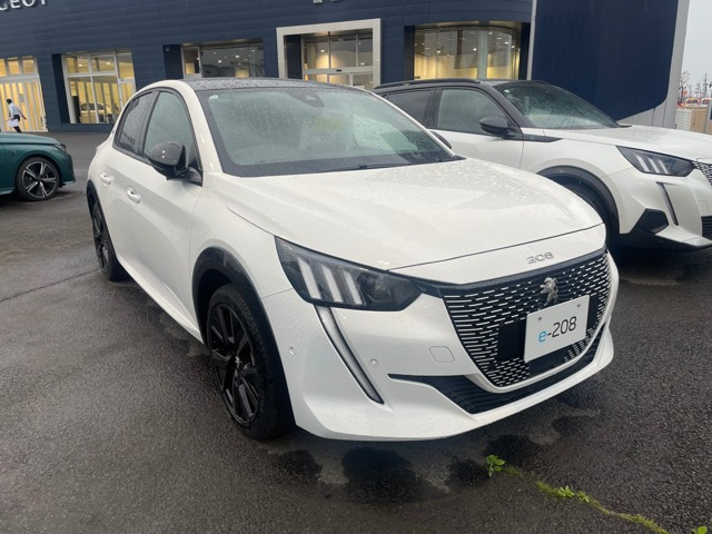 e-208 GT 