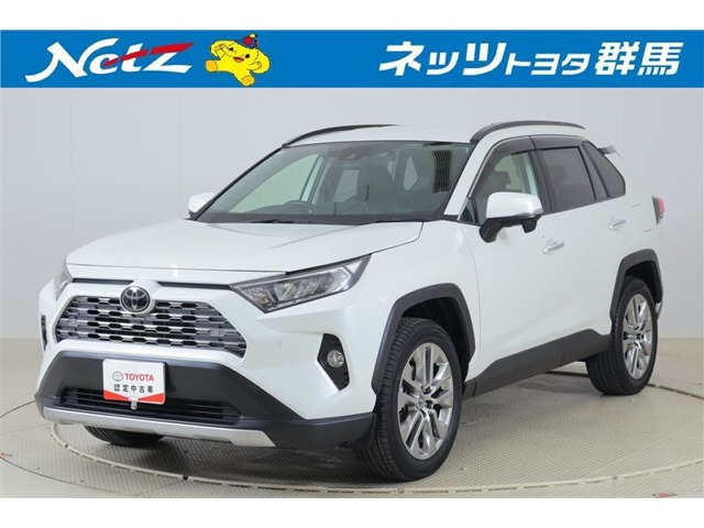 RAV4  2.0 G Zパッケージ 4WD