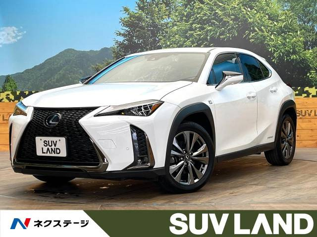 UX 250h Fスポーツ 