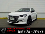 e-208 GT 