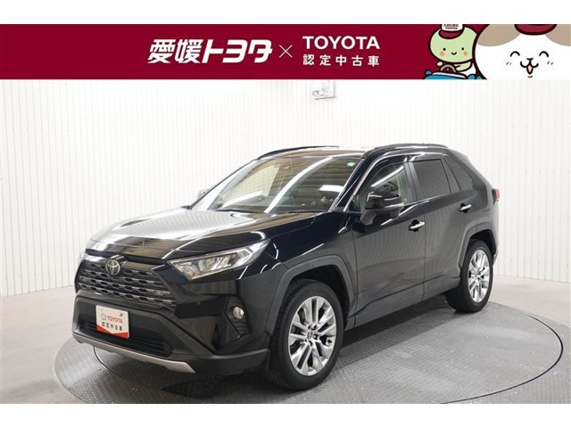 RAV4  2.0 G Zパッケージ 4WD