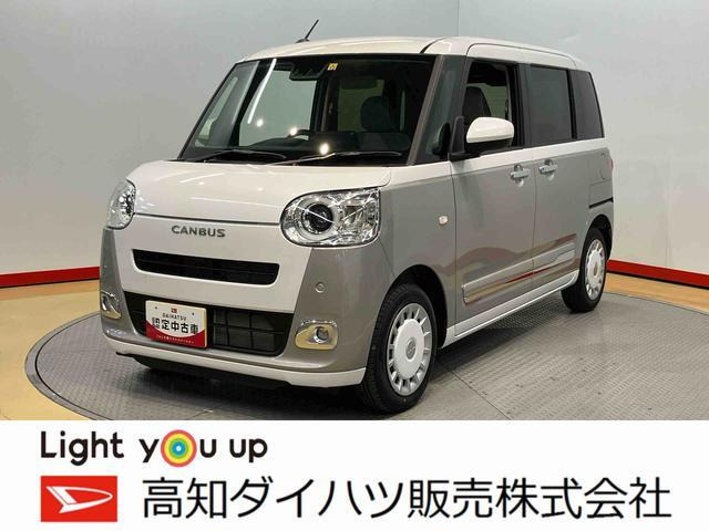 ムーヴキャンバス  ストライプス G