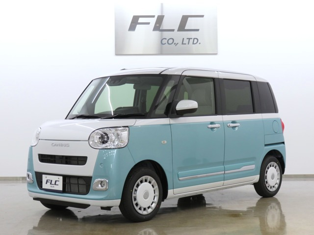 ムーヴキャンバス  ストライプス G