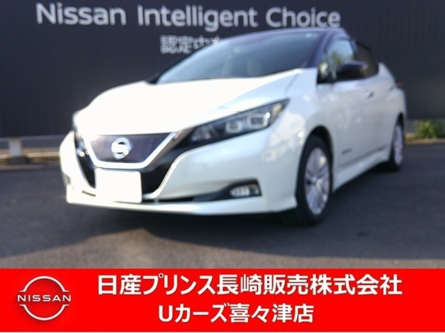リーフ X 