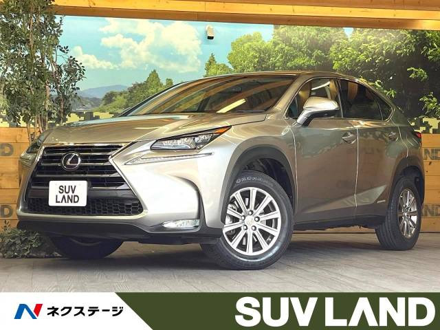 NX 300h Iパッケージ 