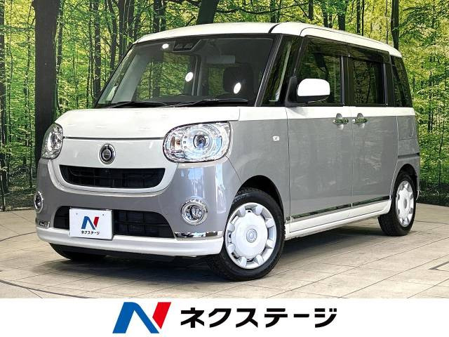 ムーヴキャンバス G メイクアップ リミテッド SAIII 