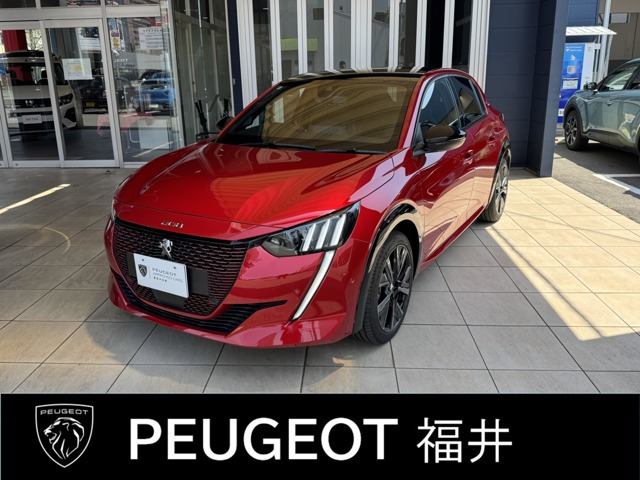 e-208 GT 