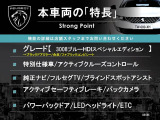 3008 ブルーHDi スペシャルエディション 