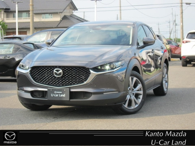 CX-30 2.0 20S プロアクティブ ツーリングセレクション 4WD 