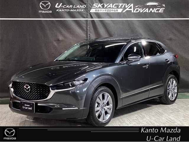 CX-30 2.0 20S プロアクティブ 
