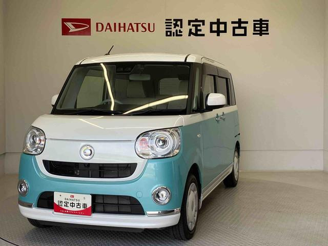 ムーヴキャンバス G メイクアップ リミテッド SAIII 