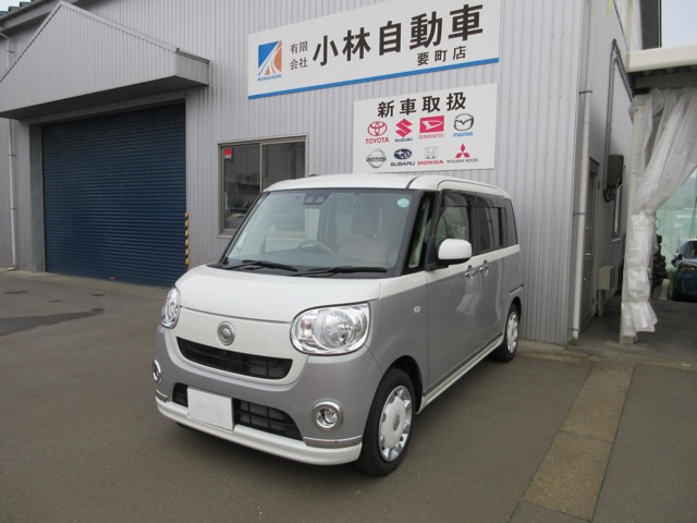 ムーヴキャンバス X リミテッド メイクアップ SAIII 