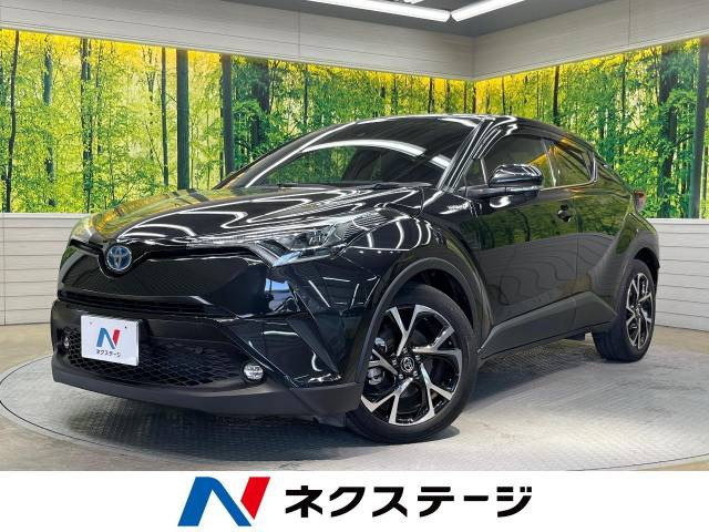 C-HR  G