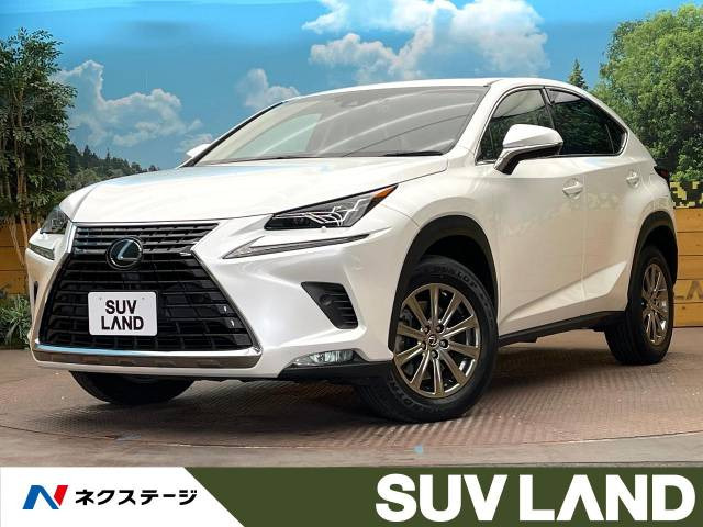 NX 200t Iパッケージ 