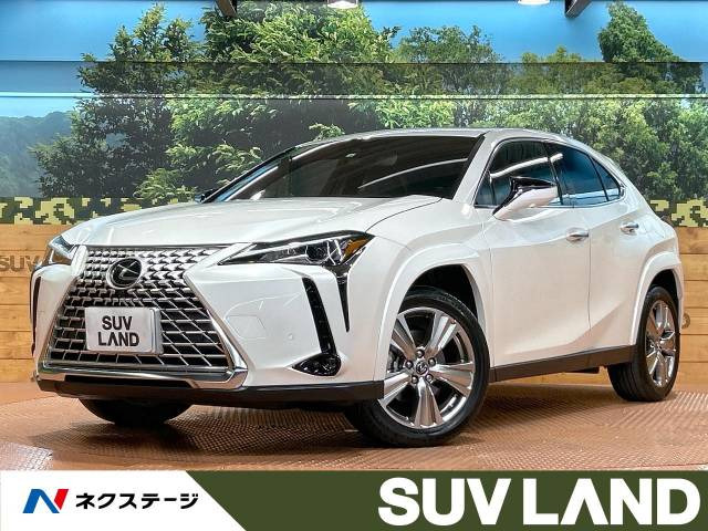 UX 250h グレイスフル エクスプローラー 
