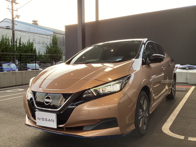 リーフ  e+ アーバンクロム