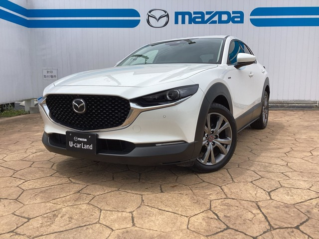 CX-30 2.0 X 100周年特別記念車 4WD 