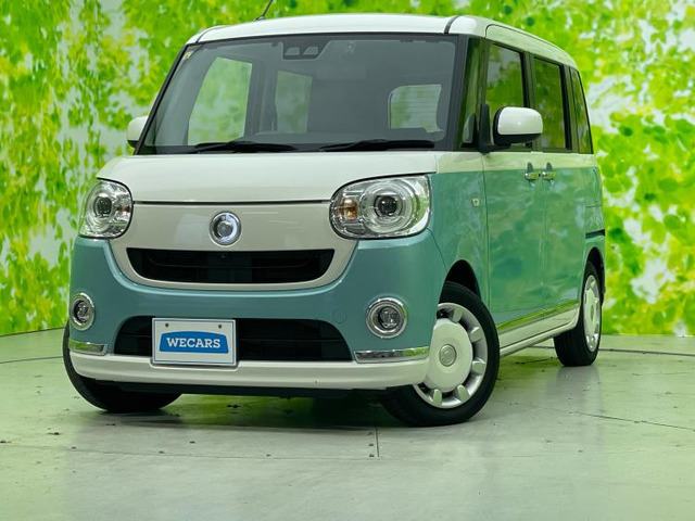 ムーヴキャンバス G メイクアップ リミテッド SAIII 