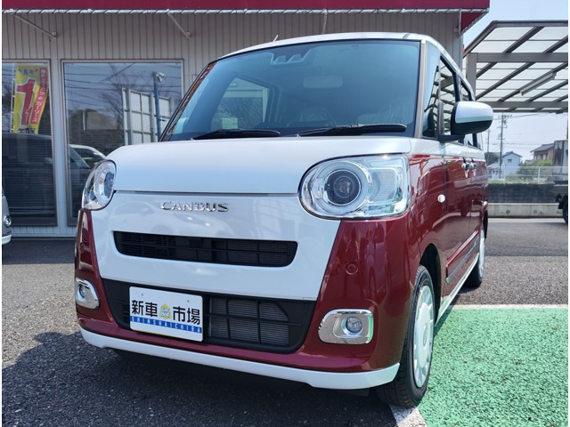 ムーヴキャンバス  ストライプス G