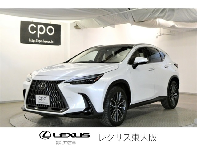 NX 250 バージョンL NX 250 バージョンL