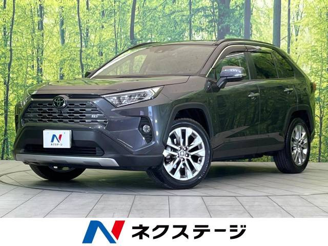 RAV4  G Zパッケージ