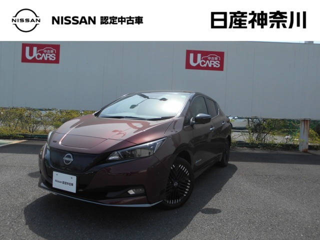 リーフ e+ G 
