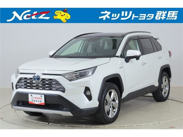 RAV4 2.5 ハイブリッド G E-Four 4WD 
