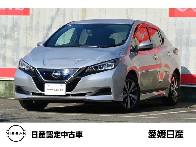 リーフ X 