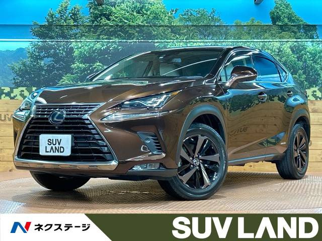NX 300h バージョンL 
