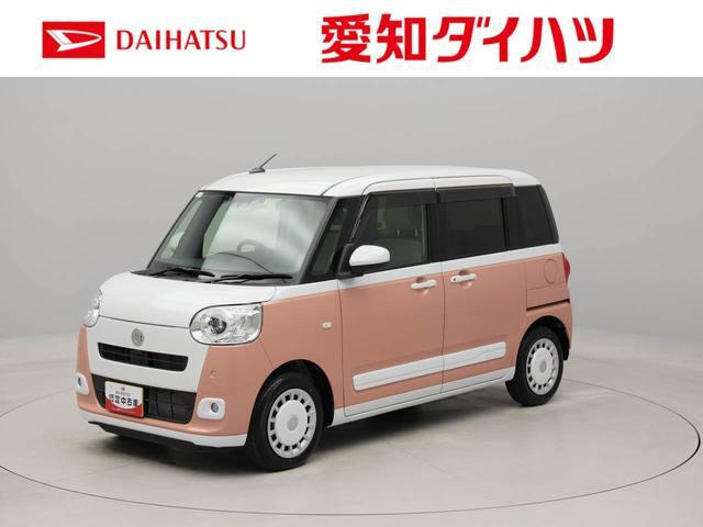 ムーヴキャンバス  ストライプス G