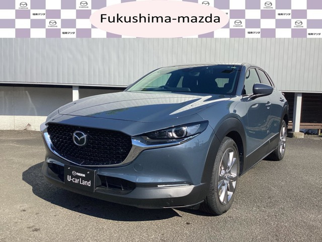CX-30 2.0 20S プロアクティブ 