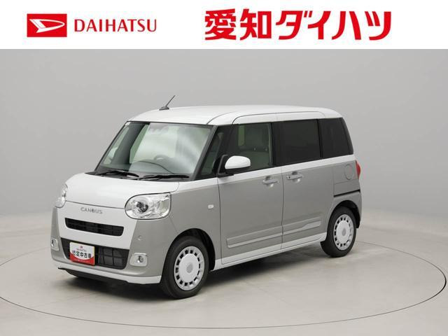 ムーヴキャンバス  ストライプス G