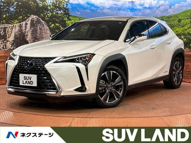 UX 250h バージョンL 